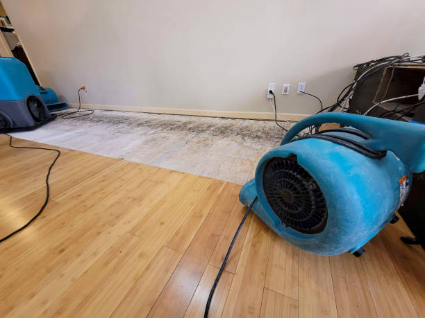 Professional Structural Drying technician working in Harvey, IL